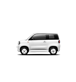 Product NARWHAL Image